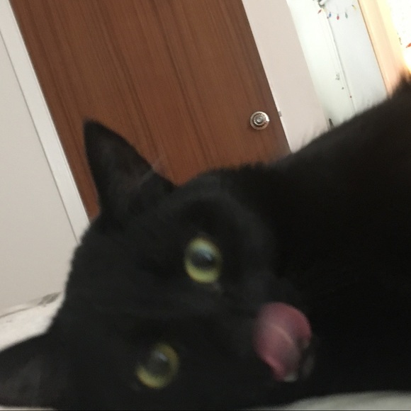 pepperpoop